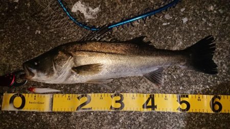 正月休み最後の朝練