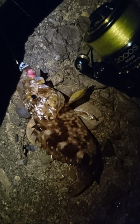 食品コンビナート ガシリング