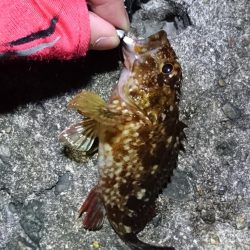 2019年初フィッシュと自己新記録