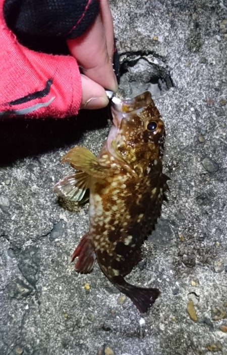 2019年初フィッシュと自己新記録