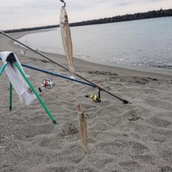 １月でもでかキス