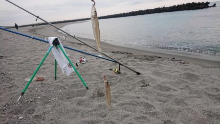 １月でもでかキス