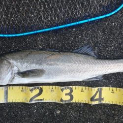 雨上がりの短時間夕練