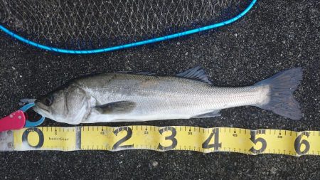 雨上がりの短時間夕練