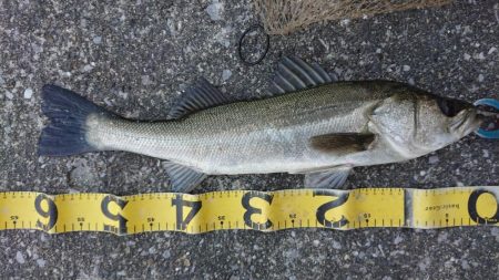 仕事帰りの短時間夕練！