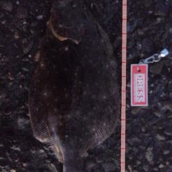 2ヵ月ぶりのまともな釣果