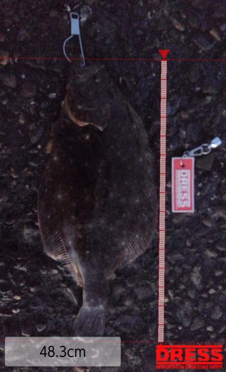 2ヵ月ぶりのまともな釣果