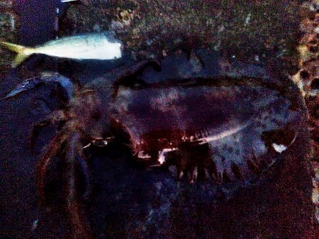 寒かったですが、何とか1杯キープでした!!…