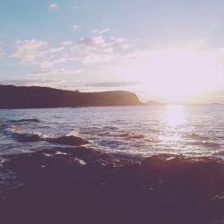 メジロには届かず