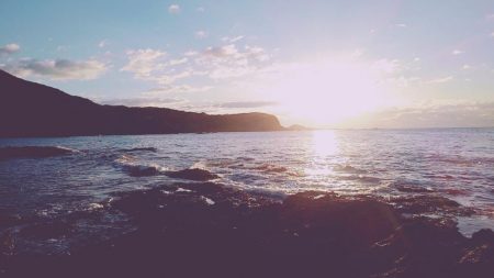 メジロには届かず