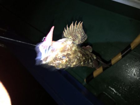 ロックフィッシュゲーム