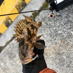 メバリング、その他