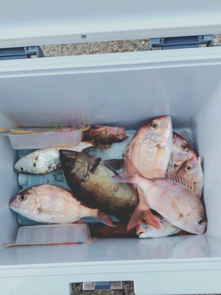 ガス波止投げ釣り