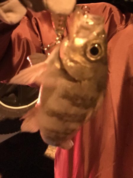 河下漁港でメバリング