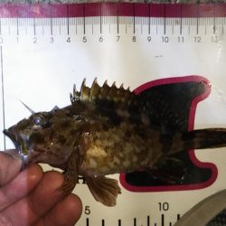 奇跡のセッティング？