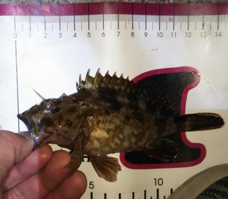 奇跡のセッティング？