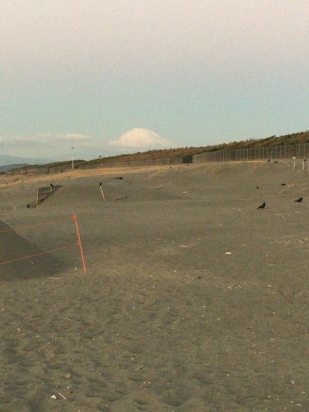 念願の初ヒラメ