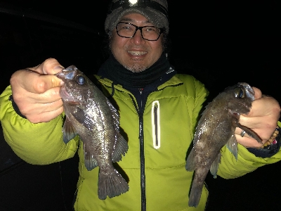 洲本でメバリング