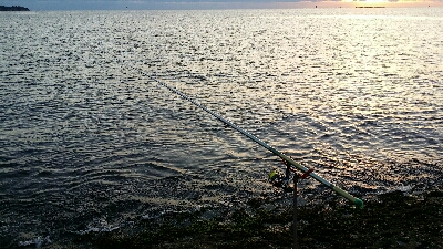 初釣りはアオリイカ