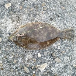 初釣行で・・・