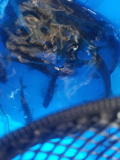 五目釣り ~冬はチョット釣りにくい~