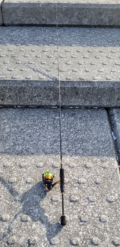 まだ居てました❗