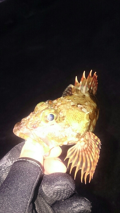 今年、初の釣り