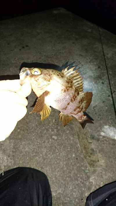 渋いアフターメバリング