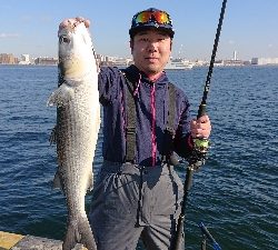 ウルトラライトショアジギング