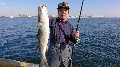 ウルトラライトショアジギング