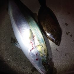 ショアジギングにて寒ブリ!