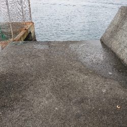 和歌山初釣り！