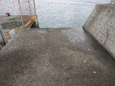 和歌山初釣り！