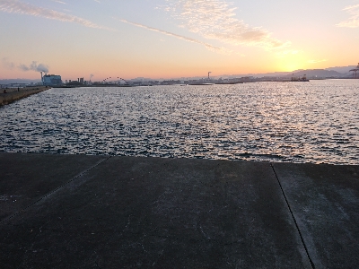 タコ 3つに太刀魚