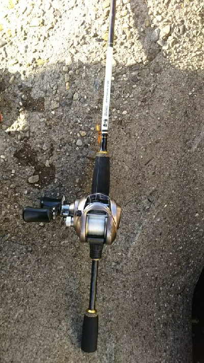 久しぶりにクジメ