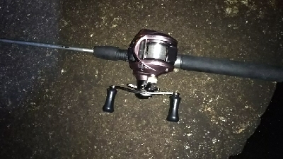 ガシラが少ない…