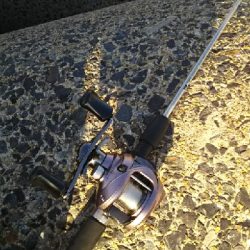 大物が釣れた！