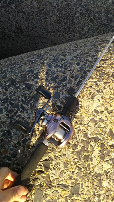 大物が釣れた！