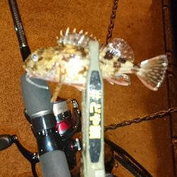 アジングに・・・