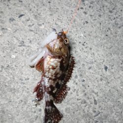 浦戸大橋下にて