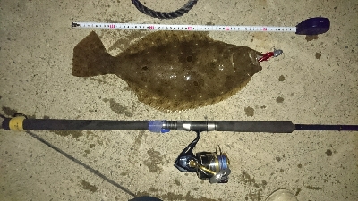 エギング諦めてからのヒラメ