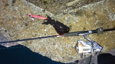 まだ、こんなのがいるのか…