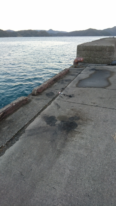 安定してるなぁ