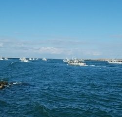 2019年初釣りアイナメ