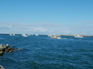 2019年初釣りアイナメ