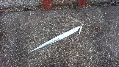 釣り部  釣行記  27