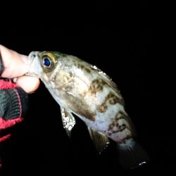 厳しい時期です。