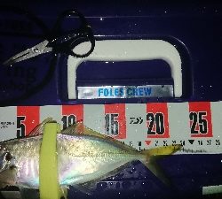 久々に満足、満足