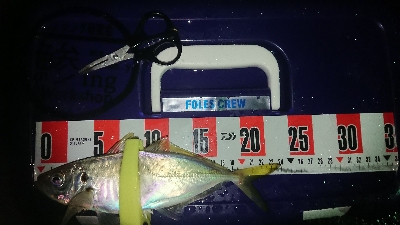 久々に満足、満足