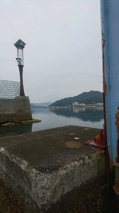 サイトフィッシング ガシリング